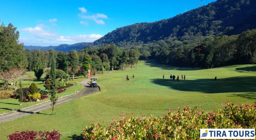 Bali Golf Price